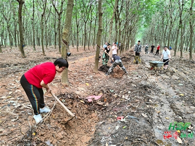 1165833428b14e65aef9745b188521a6