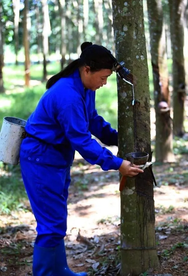 194d974e93c748b2aa1bbab3da017a9d