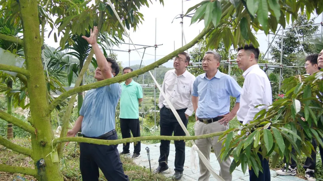 8898636365864883877d1a144c9f6425