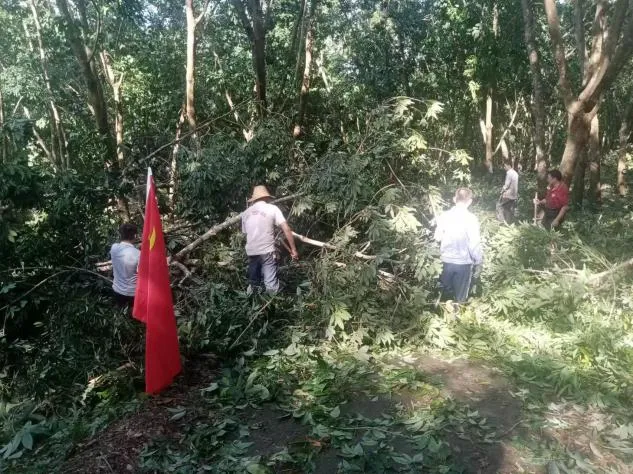 8a978c0d860b4e8284a0cb5c30416501