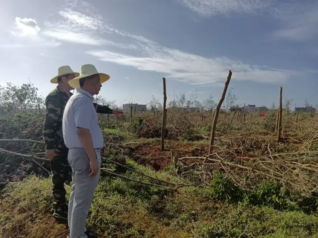 c130e28cb7294f329a820b98ce0c9489