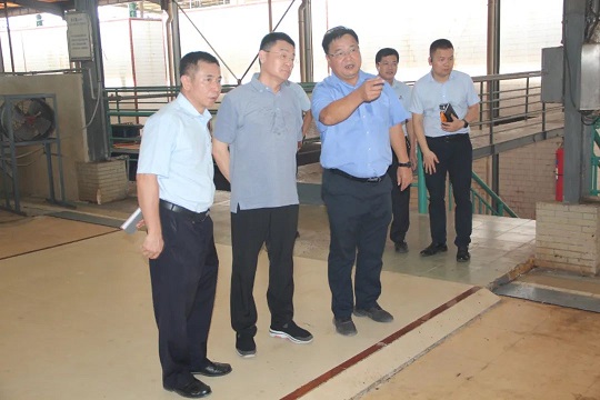 J9集团|国际站官网