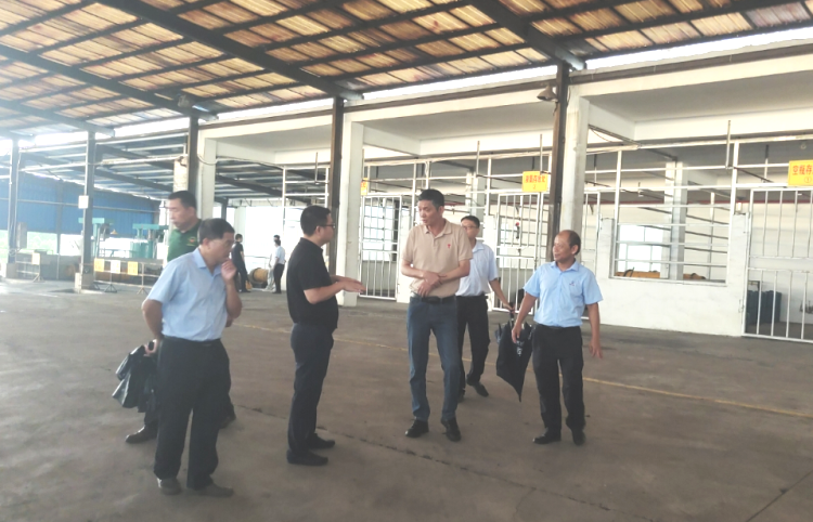 J9集团|国际站官网